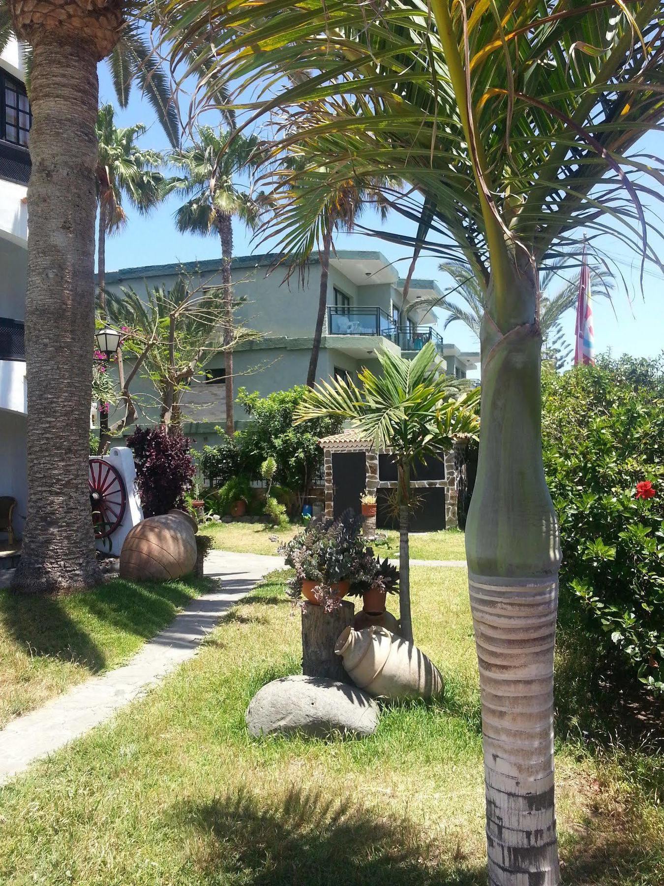 Apartamentos El Chaparral Playa del Ingles  Exterior foto